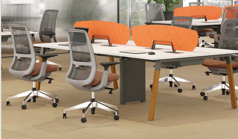 Nova Plataforma / Estação de Trabalho Work Pés em madeira biombos Pet